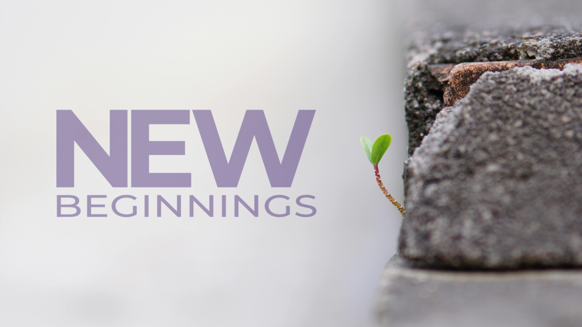 new_beginnings_cover