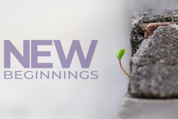 new_beginnings_cover